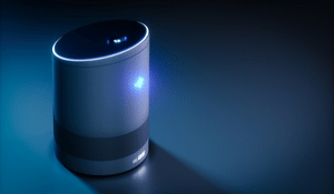 The Security Risks of Smart Speakers